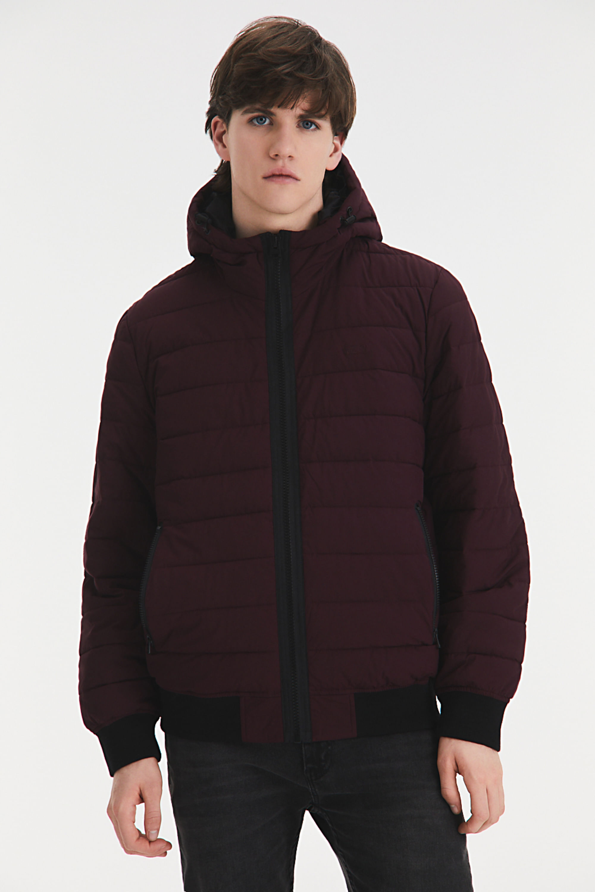 Bomber hoodie puffer jacket