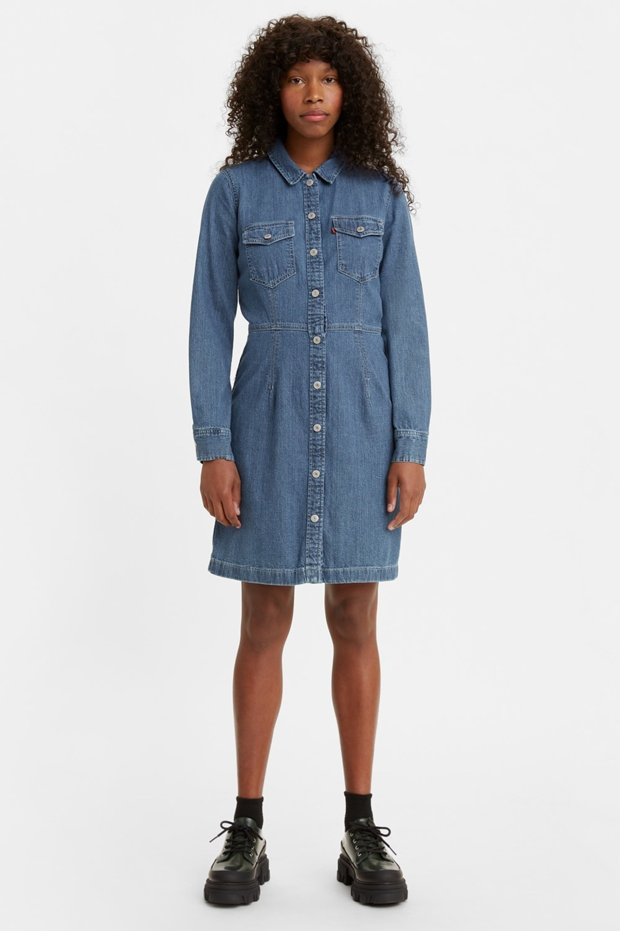 Ellie denim dress