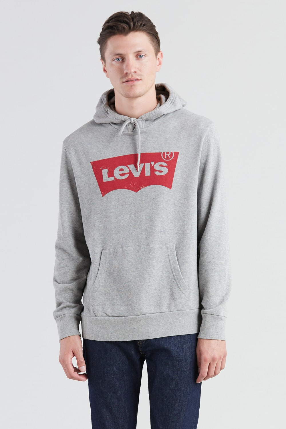 Graphic po hoodie grey Levis