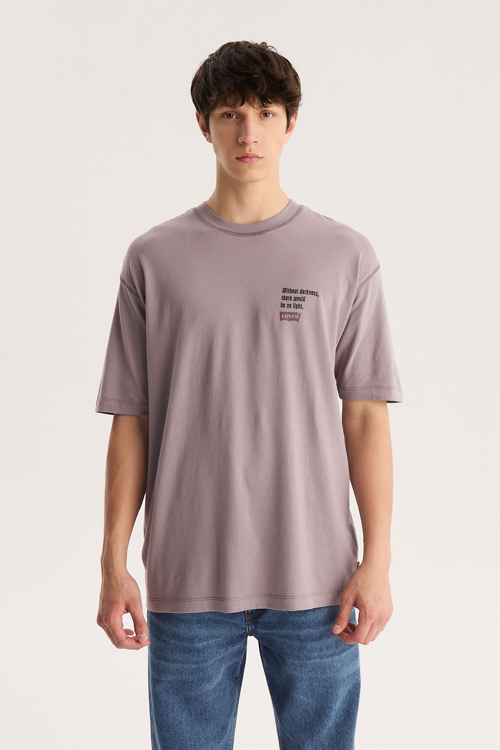 Graphic box tee gotic poster de Levis
