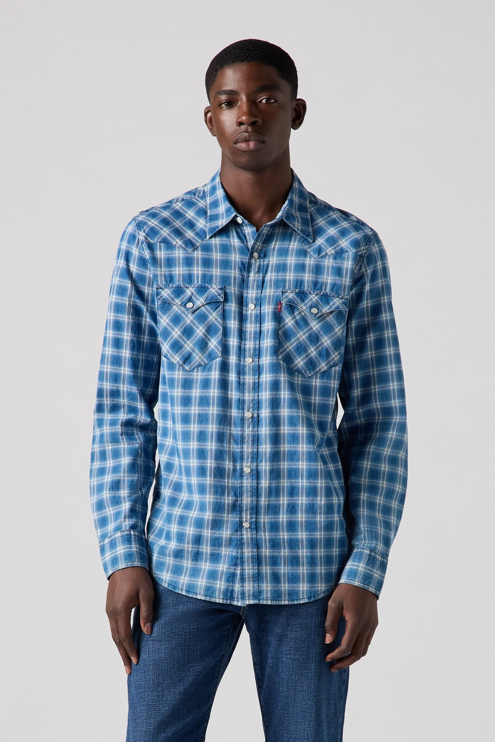 Classic western standard Levis