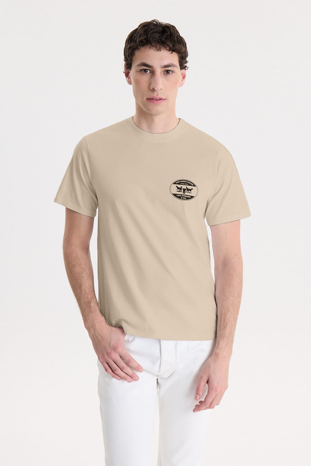 Relaxed graphic tee oval (Levis)