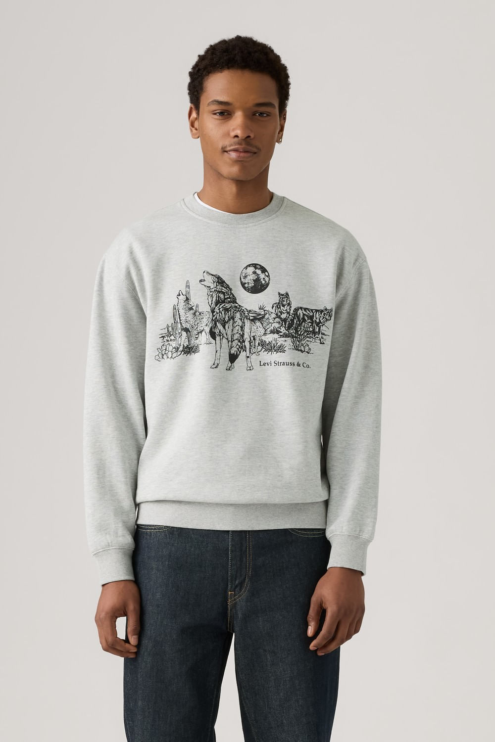 Relaxed graphic crew wolf