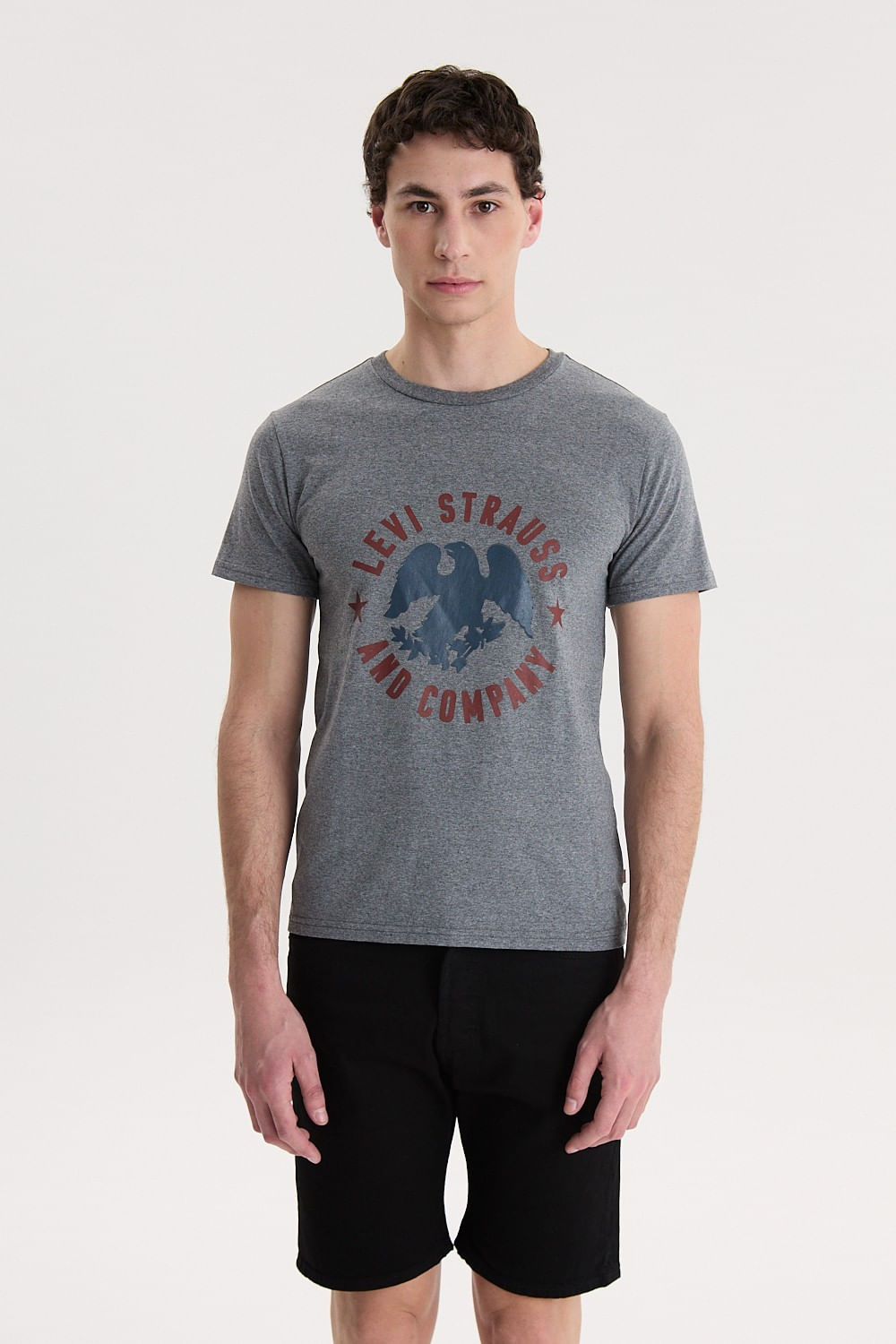 Graphic set in neck grey Htr