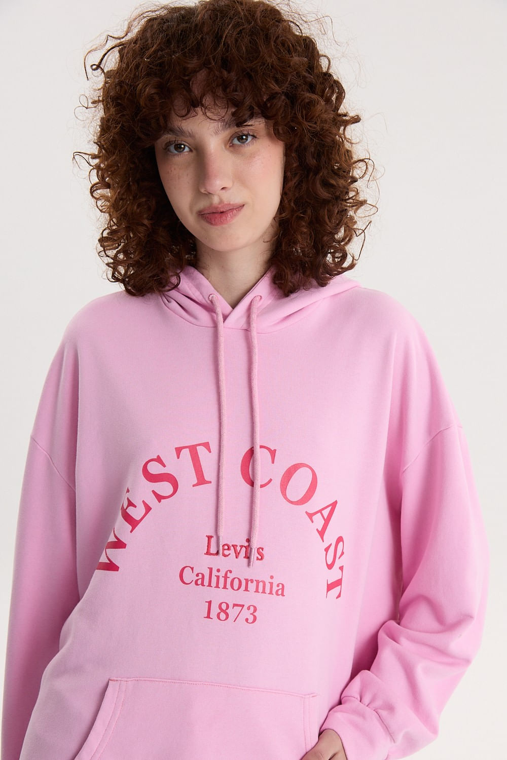 Prism hoodie potpourri — imagen 5