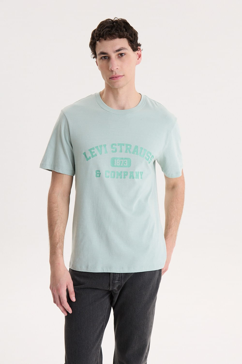 Ss Relaxed Fit Sage