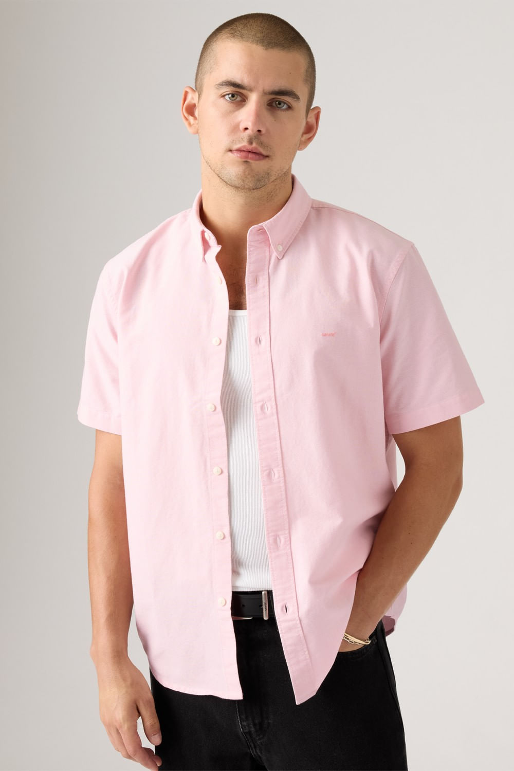 Camisa Ss authentic button down pink dolphin — imagen 3