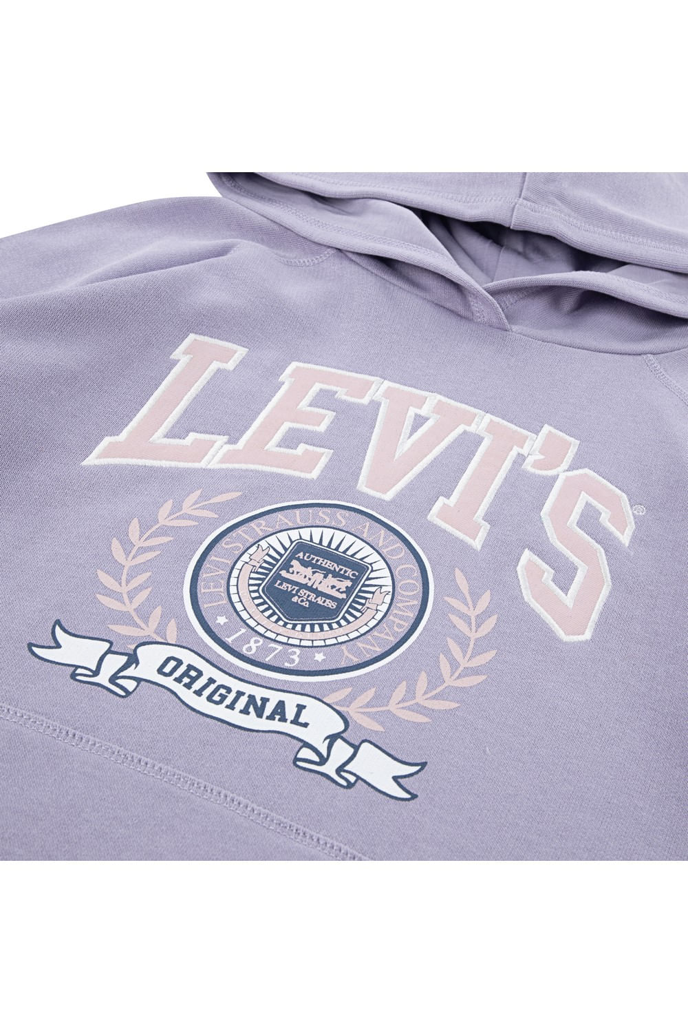 Oversized hoodie Levi's varsity — imagen 3