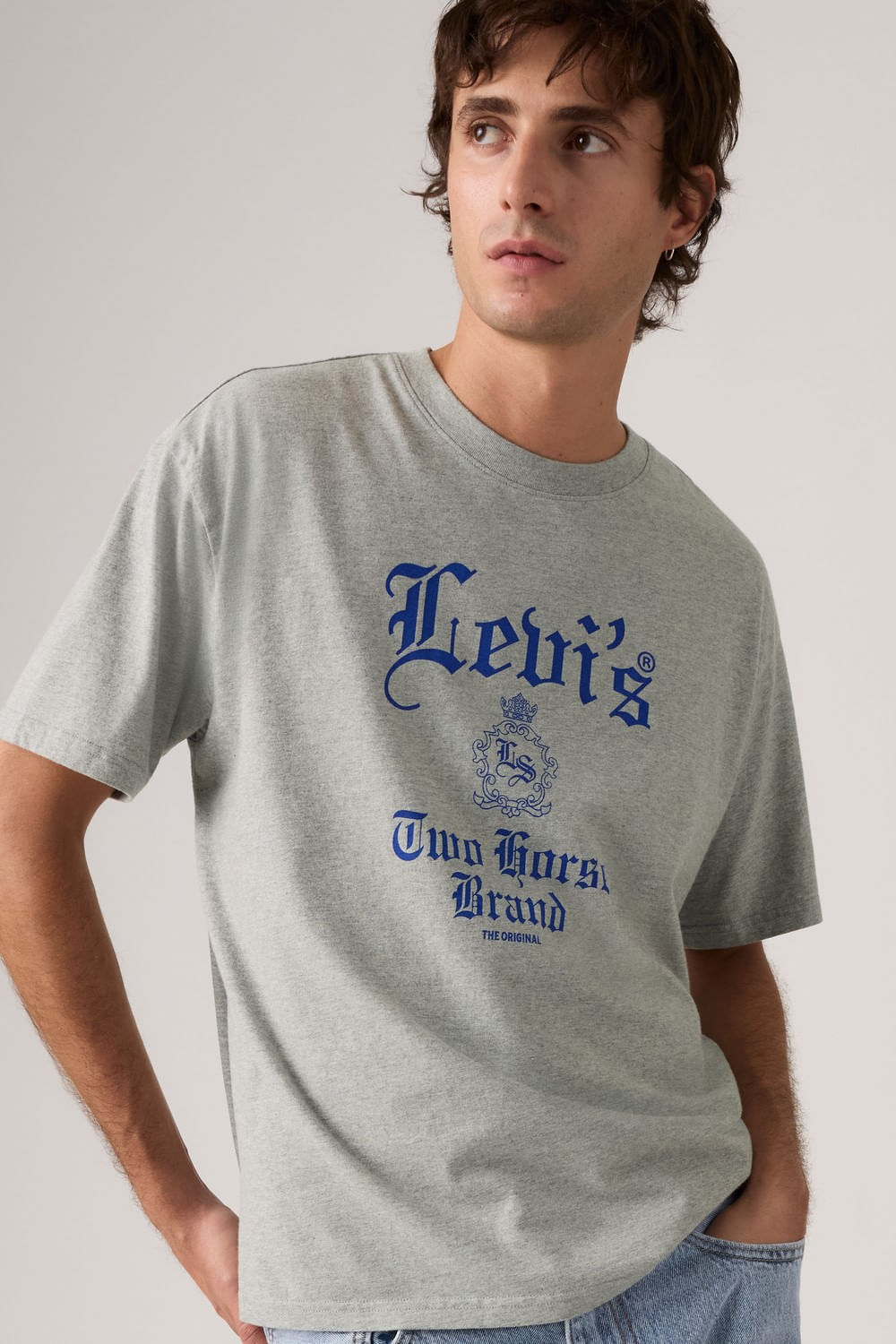 Camiseta boxy tee gótica de Levi´s