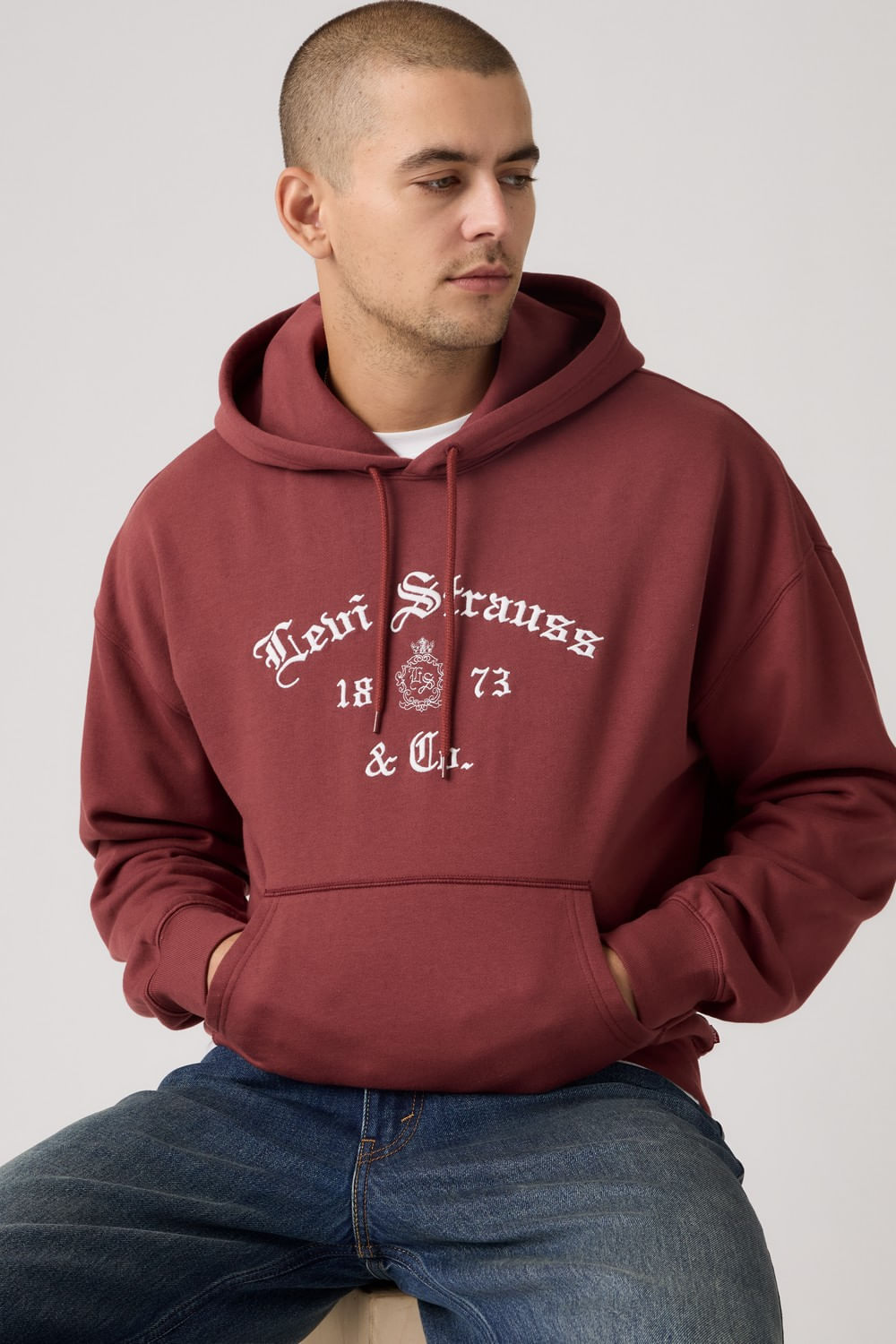 Graphic boxy hoodie gothic Levis
