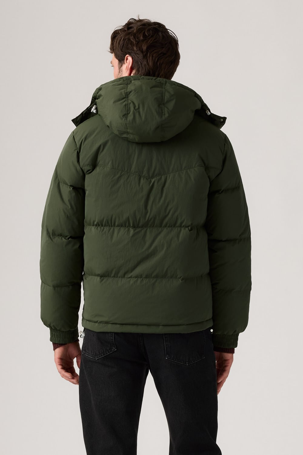 Rockridge short puffer de Levis — imagen 3