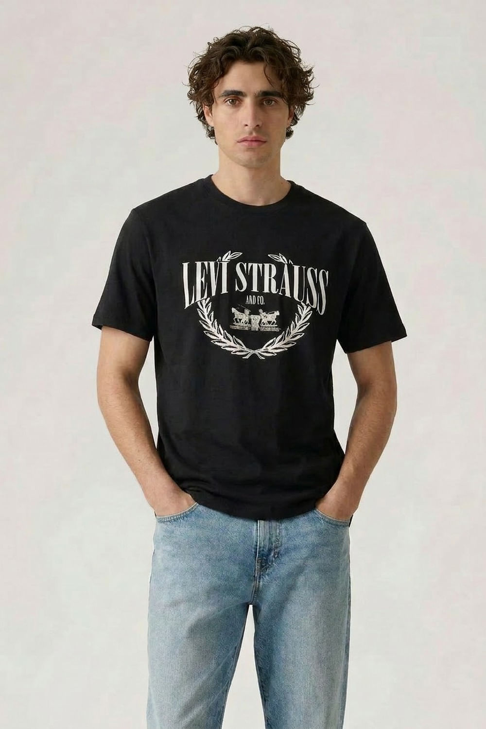 Levis ss relaxed fit tee indie