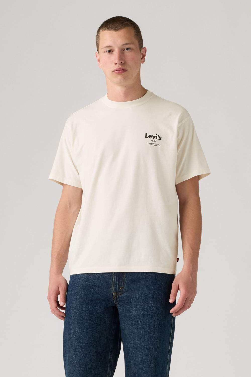 Levis vintage fit graphic tee lengen egret
